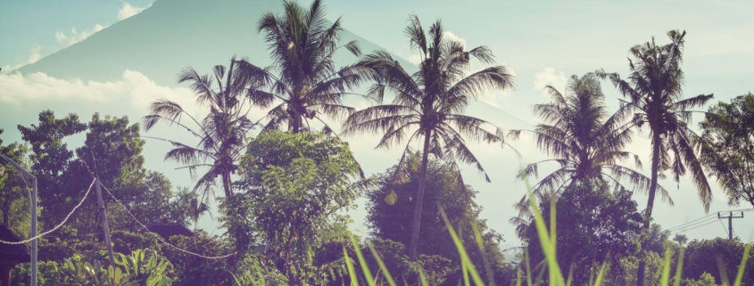 Bali landscapes